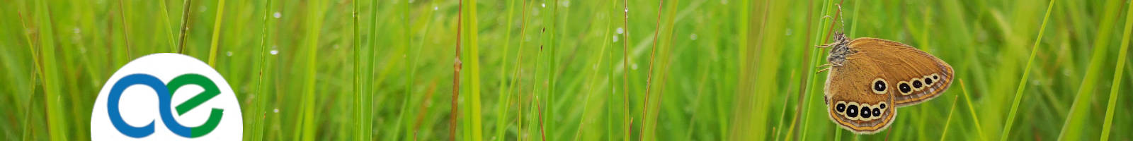 AQUITAINE ENVIRONNEMENT PARENTIS LANDES NOUVELLE BUREAU ETUDES ICPE FORAGES ECOLOGIE DOSSIERS ASSAINISSEMENT NON COLLECTIF