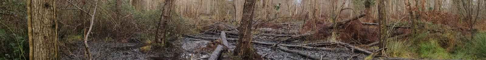 AQUITAINE AE ENVIRONNEMENT LANDES GIRONDE PYRENEES DORDOGNE FORMATIONS SITES SOLS POLLUES DEPOLLUTION