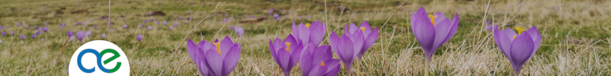 AQUITAINE ENVIRONNEMENT PARENTIS LANDES NOUVELLE BUREAU ETUDES ICPE FORAGES ECOLOGIE DOSSIERS ASSAINISSEMENT NON COLLECTIF