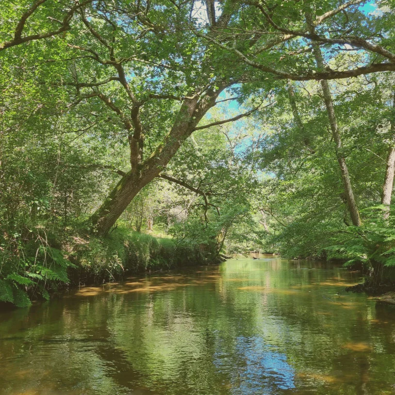 Espace aquatique en Nouvelle-Aquitaine