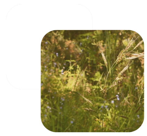 Études et diagnostics environnementaux