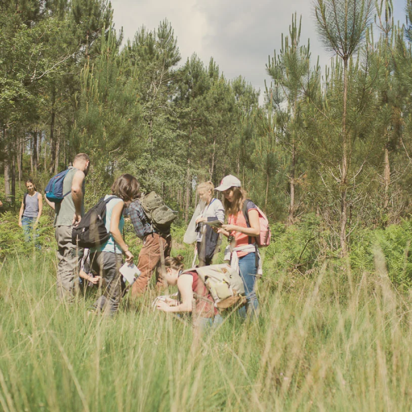 Études écologiques en Gironde