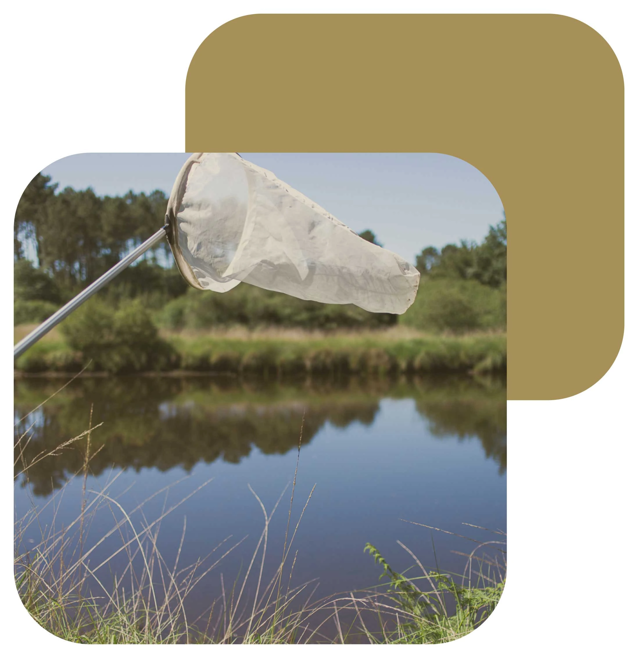 etudes-ecologiques-nouvelle-aquitaine Des études écologiques sur le territoire de la Nouvelle-Aquitaine