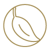 Icon écologie