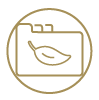Icon dossiers réglementaires