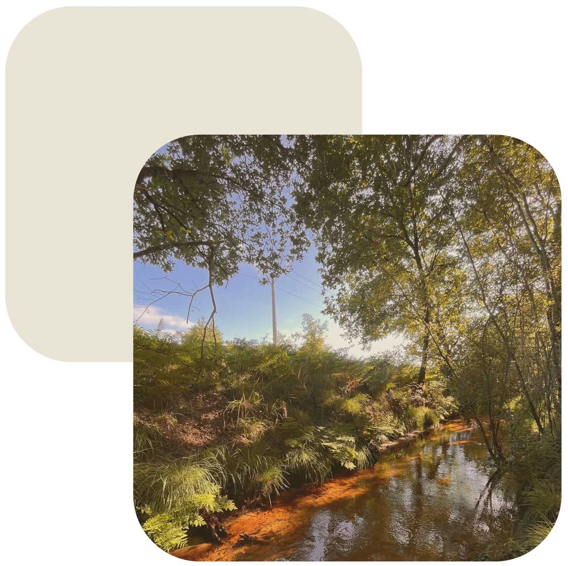 inventaires-etudes-ecologiques Études et inventaires écologiques