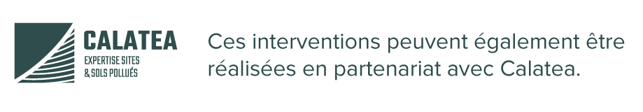 Logo Calatea
