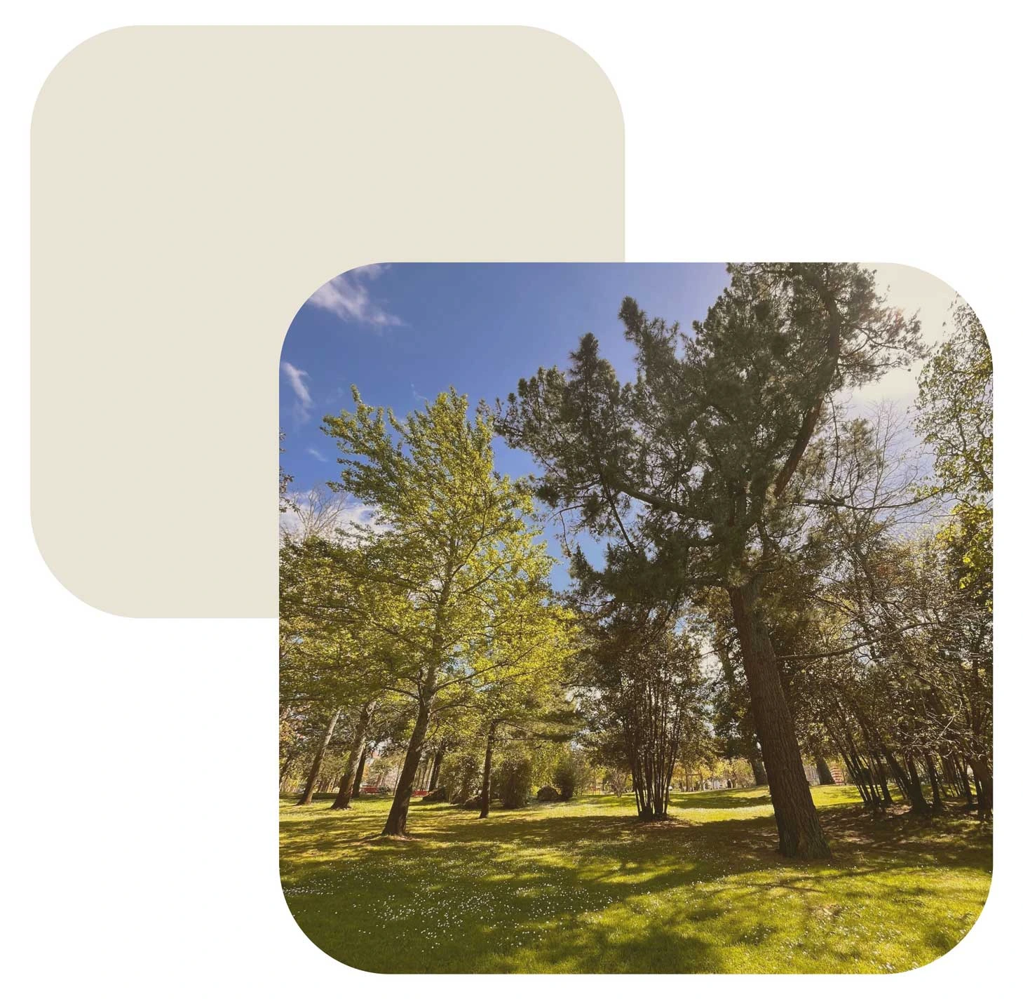 Environnement forestier en Nouvelle-Aquitaine
