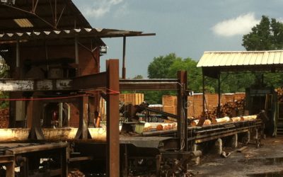 Le retour d’une expertise ICPE solide et réactive